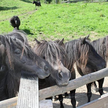 Rezydencja Lesny Dwor Piwniczna-Zdroj Buitenkant foto