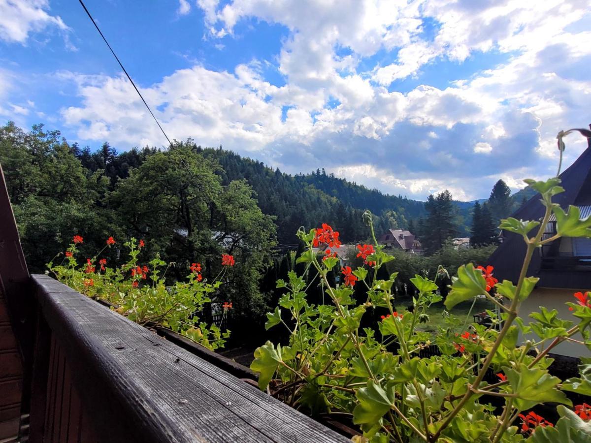 Rezydencja Lesny Dwor Piwniczna-Zdroj Buitenkant foto