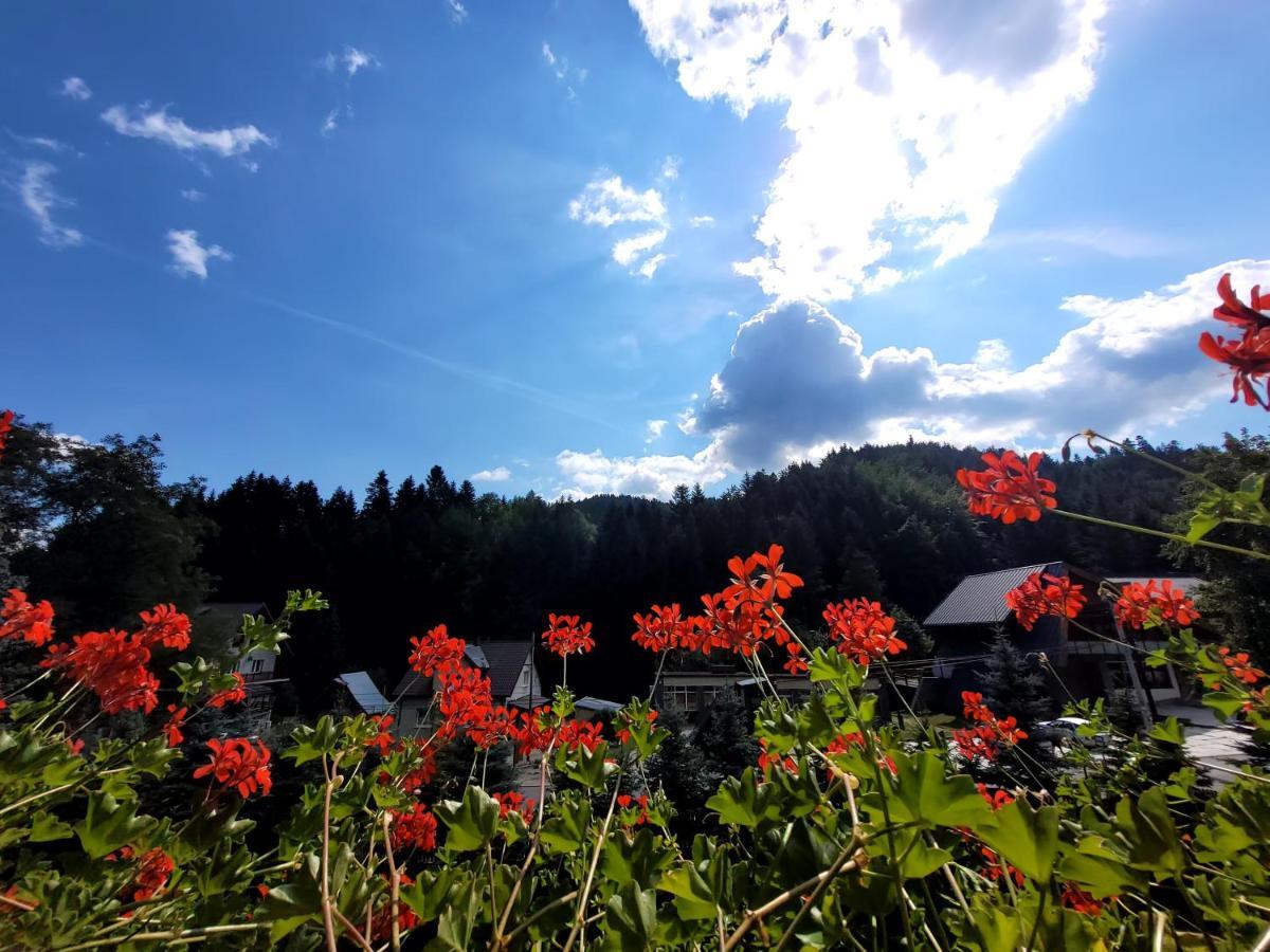 Rezydencja Lesny Dwor Piwniczna-Zdroj Buitenkant foto