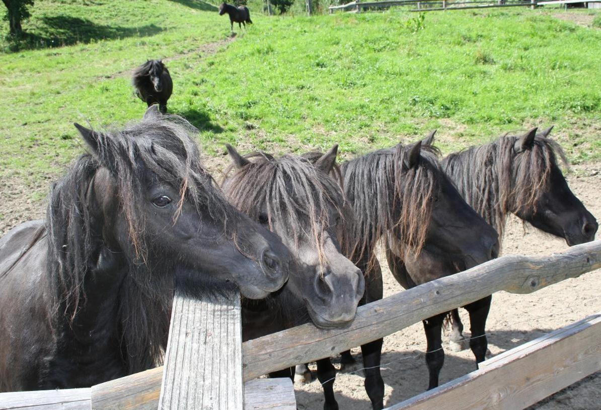 Rezydencja Lesny Dwor Piwniczna-Zdroj Buitenkant foto