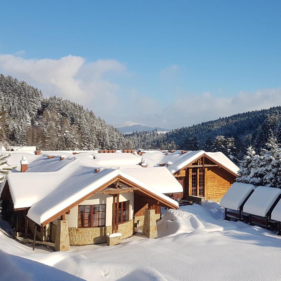 Rezydencja Lesny Dwor Piwniczna-Zdroj Buitenkant foto